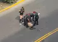 Jinete de la PNP sufre aparatosa ca�da durante la Gran Parada C�vico Militar en la avenida Brasil