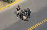 Jinete de la PNP sufre aparatosa ca�da durante la Gran Parada C�vico Militar en la avenida Brasil