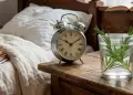 Colocar un vaso con romero y agua en el dormitorio: �Por qu� lo recomiendan y para qu� sirve?