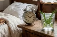 Colocar un vaso con romero y agua en el dormitorio: �Por qu� lo recomiendan y para qu� sirve?