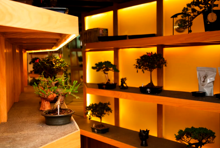 Los bons�is aparecen entre las plantas que algunas interpretaciones del Feng Shui relacionan con limitaciones.