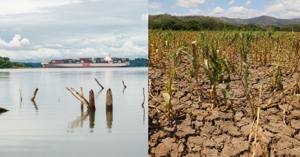 Sequías en el Canal de Panamá y en zonas agricultoras de El Salvador