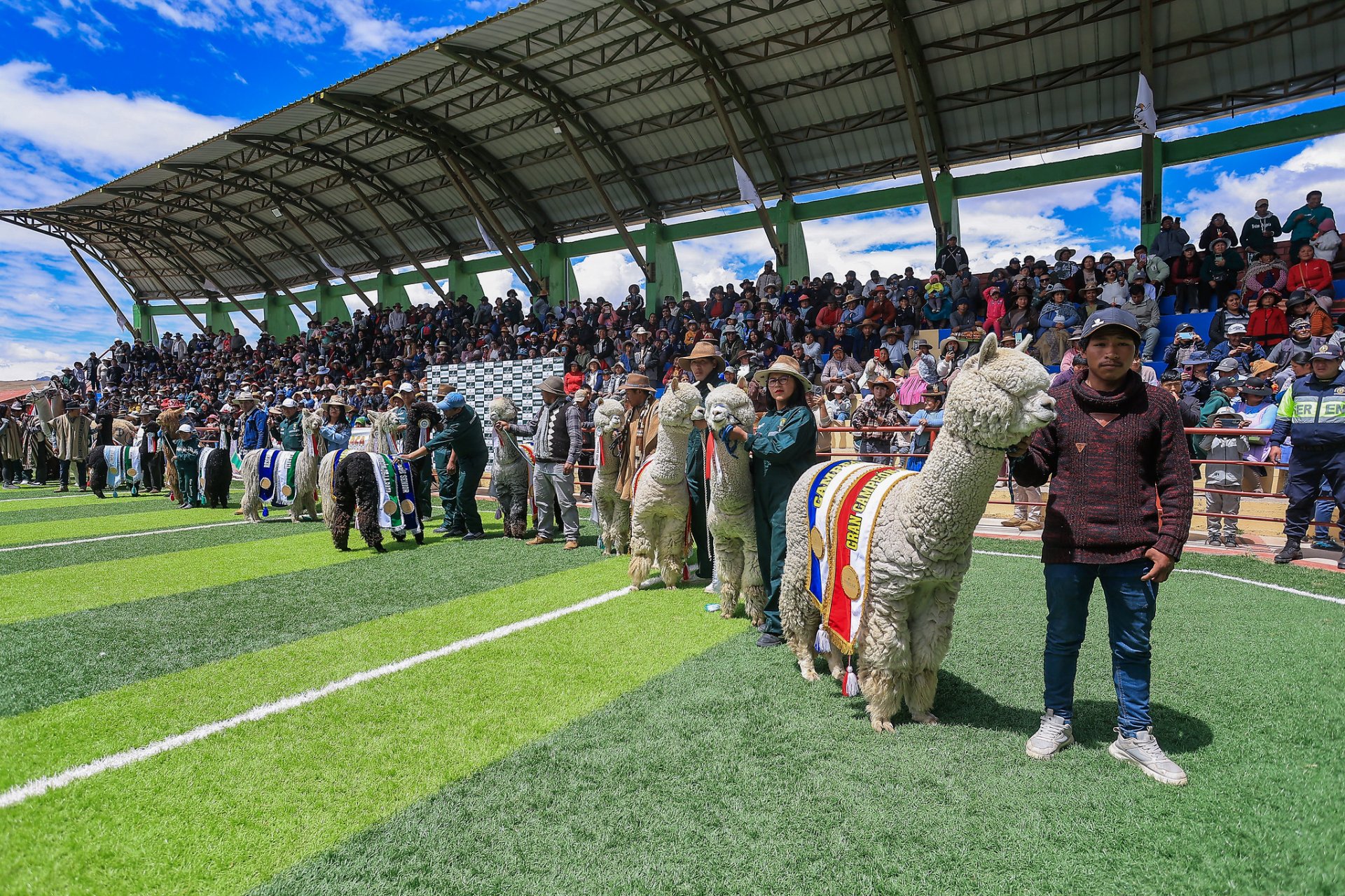 XXXI Feria Nacional de Exposici�n de Cam�lidos Sudamericanos, Agrepecuarios y Artesanales