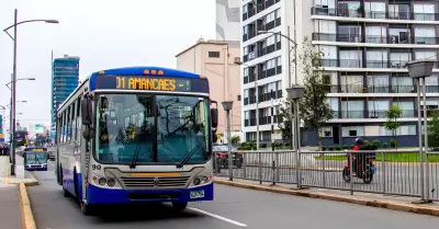 Corredor azul