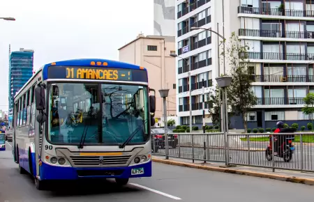 Corredor azul