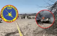 Cámara de Comercio de Nasca exige inspección estricta a aeronaves turísticas tras accidente que dejó 13 fallecidos