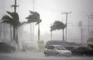 Vientos fuertes en Lima: Municipalidad brinda recomendaciones para prevenir accidentes y proteger a la población