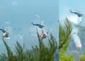 Dos helic�pteros en pleno vuelo chocaron mientras combat�an un incendio en Grecia