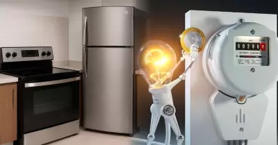 Electrodom�sticos que consumen m�s energ�a.