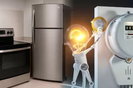 Electrodom�sticos que consumen m�s energ�a.