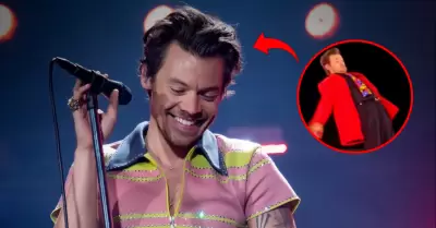 Harry Styles sufre ca�da