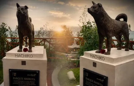 Miraflores inaugura el parque Shibuya con estatua de Hachiko