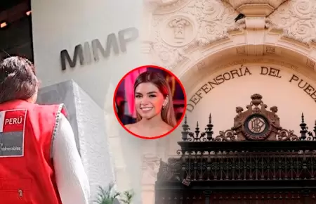 Instituciones del Estado se pronunciaron tras denuncia de cantante.