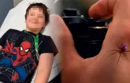 Niño quiso convertirse en Spider-Man al dejarse picar por una araña y terminó hospitalizado
