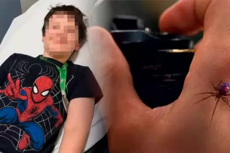 Ni�o se dej� picar por ara�a.