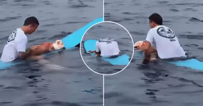 Surfista conmueve con emotiva despedida de su perro en el mar
