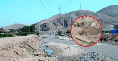 Encuentran parte de esqueleto en ribera del r�o Chill�n