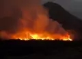 Voraz incendio forestal en Ca�ete: sectores de Coayllo fueron alcanzados por las llamas