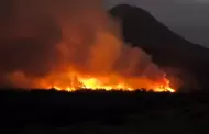 Voraz incendio forestal en Cañete: sectores de Coayllo fueron alcanzados por las llamas
