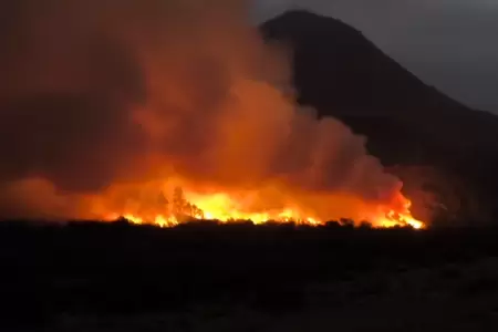 Fuerte incendio forestal en el distrito de Coayllo en Ca�ete