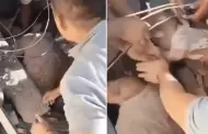 Rescatan a una madre y su bebé que quedaron atrapadas entre los escombros tras terremoto que azotó Colombia