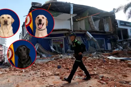 Ej�rcito de Colombia presenta a su equipo canino