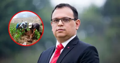 Marco Vinelli presenta proyecto agricultor para los pr�ximos cinco a�os