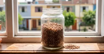 Recipiente con lentejas cerca de una ventana, seg�n Feng Shui.