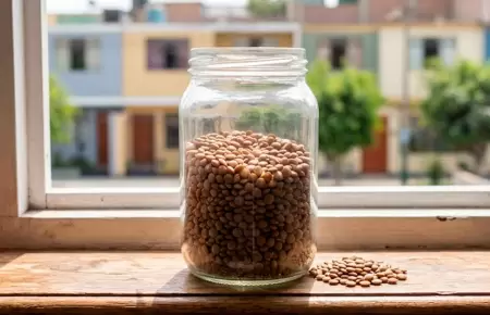 Recipiente con lentejas cerca de una ventana, seg�n Feng Shui.