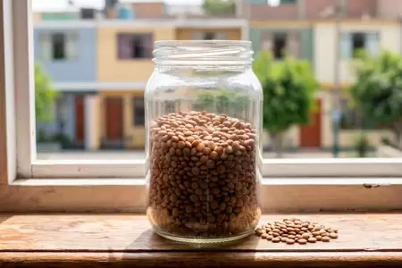 Recipiente con lentejas cerca de una ventana, seg�n Feng Shui.