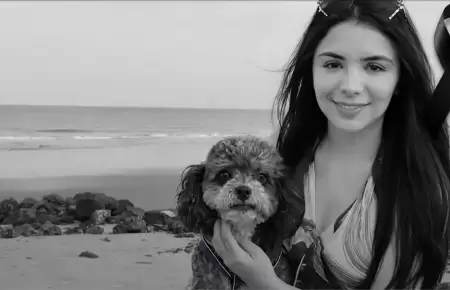 La abogada perdi� la vida tras proteger a su mascota.