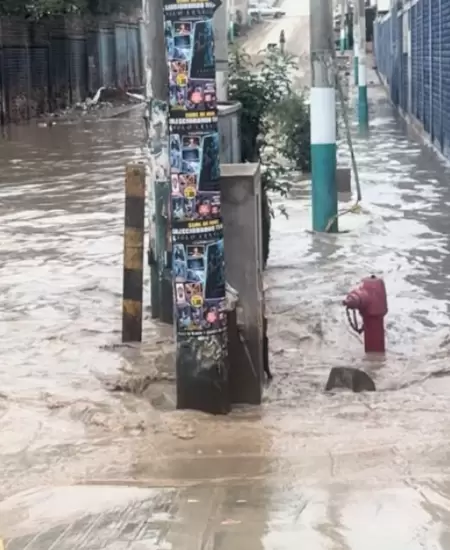 Colegio de Villa Mar�a del Triunfo