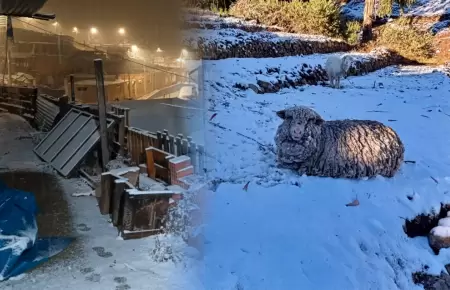 La nevada en Vilavilani afecta a los animales.