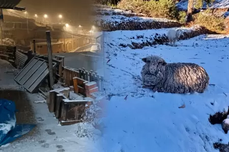 La nevada en Vilavilani afecta a los animales.