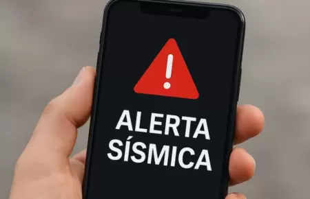 �Por qu� no son� la alarma antis�smica?
