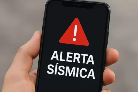 �Por qu� no son� la alarma antis�smica?