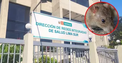 La Diris Lima Sur se�al� que los pacientes se encuentran fuera de peligro.