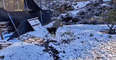 La DANA Anibal ocasion� lluvias, fuertes vientos y nieve en distintos sectores d