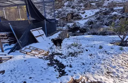 La DANA Anibal ocasion� lluvias, fuertes vientos y nieve en distintos sectores d