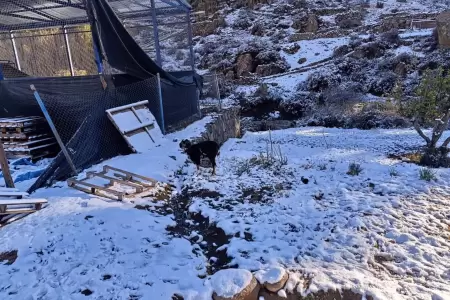 La DANA Anibal ocasion� lluvias, fuertes vientos y nieve en distintos sectores d