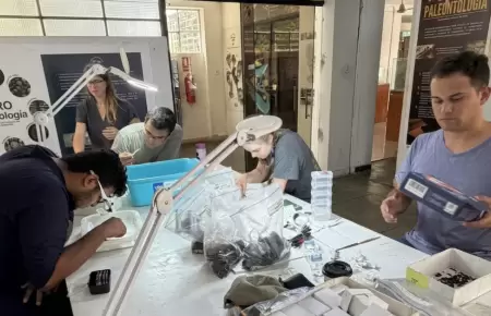 Cient�ficos de varios pa�ses encontraron f�siles en la Pampa La Brea, Piura