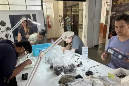 Cient�ficos de varios pa�ses encontraron f�siles en la Pampa La Brea, Piura