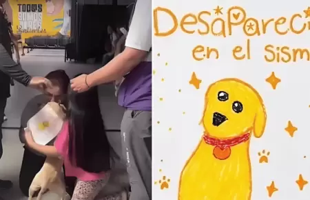 Ni�a se reencontr� con su perrito desaparecido tras el terremoto en Colombia