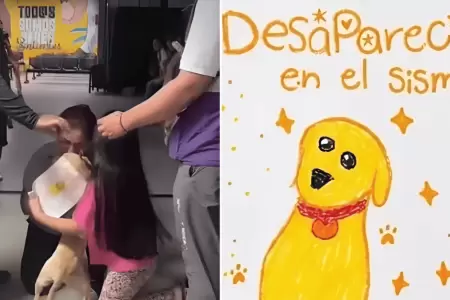 Ni�a se reencontr� con su perrito desaparecido tras el terremoto en Colombia