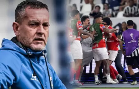 El estratega niega que existieron provocaciones contra Botafogo.