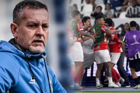 El estratega niega que existieron provocaciones contra Botafogo.