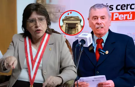 Juzgado concluy� en que inmunidad no contemplaba para delitos comunes.