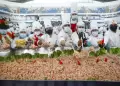 Ceviche m�s grande del mundo: 500 chefs prepararon nueve toneladas en el Callao