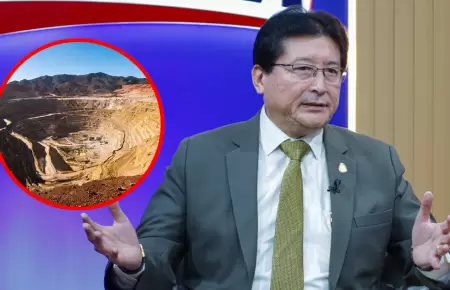 Guillermo Shinno, ministro de Energ�a y Minas, afirm� que proyecto T�a Mar�a sig