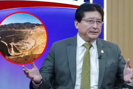 Guillermo Shinno, ministro de Energ�a y Minas, afirm� que proyecto T�a Mar�a sig